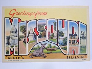 Greetings From Missouri Large Letter Postcard Donkey Seated Linen Curt Teich