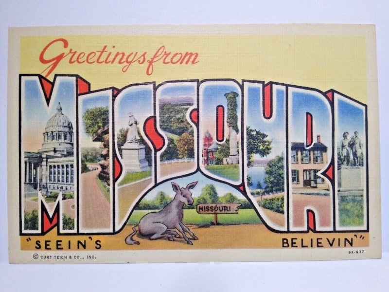 Greetings From Missouri Large Letter Postcard Donkey Seated Linen Curt Teich