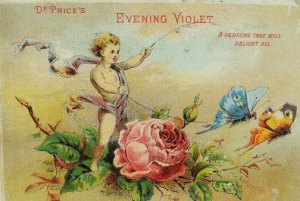 Steele & Price Perfumers & Extracts Cherub Rose-Chariot Tied To Butterflies P51