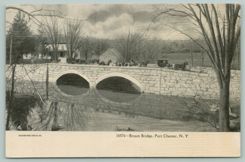 Port Chester New York~Horse Buggy Leads Way~Bryam Street Bridge~Home~Barn~1905 