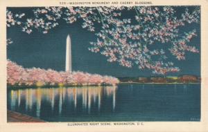 Washington Monument and Cherry Blossoms Night Scene, Washington, DC - Linen