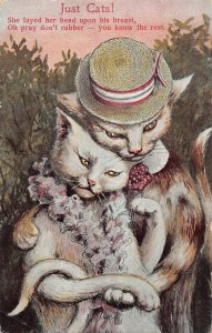 Animals Anthropomorphic Humanized Cats Couple Love Romance postcard B922
