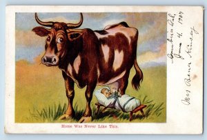 Manor Washington WA Postcard Baby Sucking Milk To Cow Animal c1905 Antique
