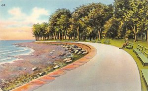 BRIDGEPORT, CT Connecticut  SEASIDE PARK Path & Man on Bench  Tichnor Postcard