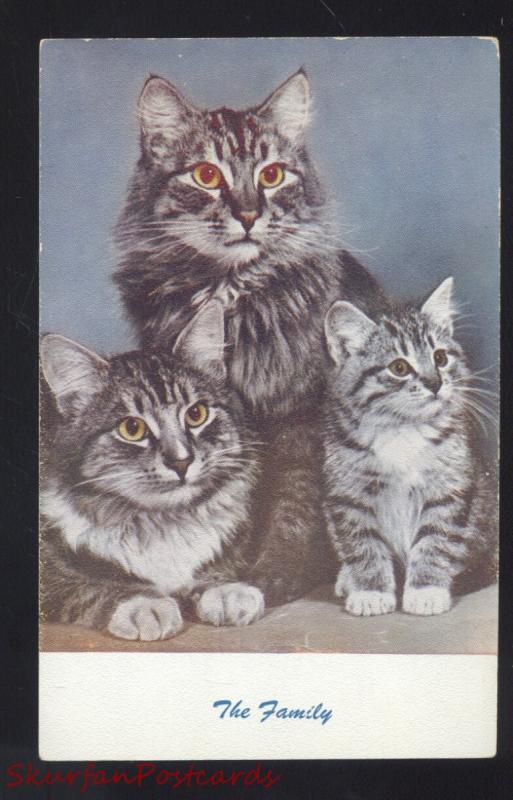 NO. C4 STANDARD ARTS BERKELEY CALIF. CUTE CAT CATS FAMILY VINTAGE POSTCARD 