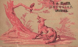 1880s-90s Wolfe Watching a Bird on a Tree Limb JA Blake Druggist Trade Card