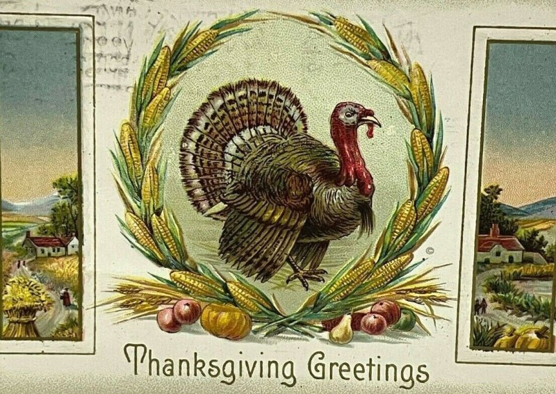 Vintage Postcard Thanksgiving Embossed Turkey Corn Farm Cottage ca. 1910