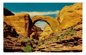 UT - Rainbow Natural Bridge