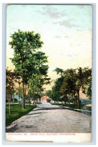 C. 1910 Portland, Me. Drive Way Eastern Promenade. Postcard P222E