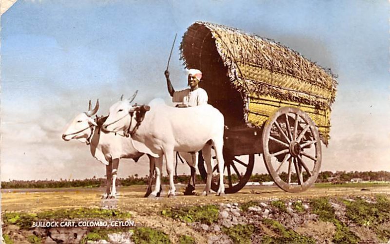 Bullock Cart Colombo Ceylon, Ceylan Postal Used Unknown 