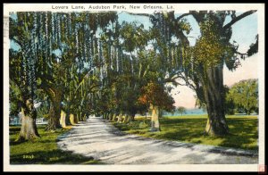 Lovers Lane, Audubon Park, New Orleans, La