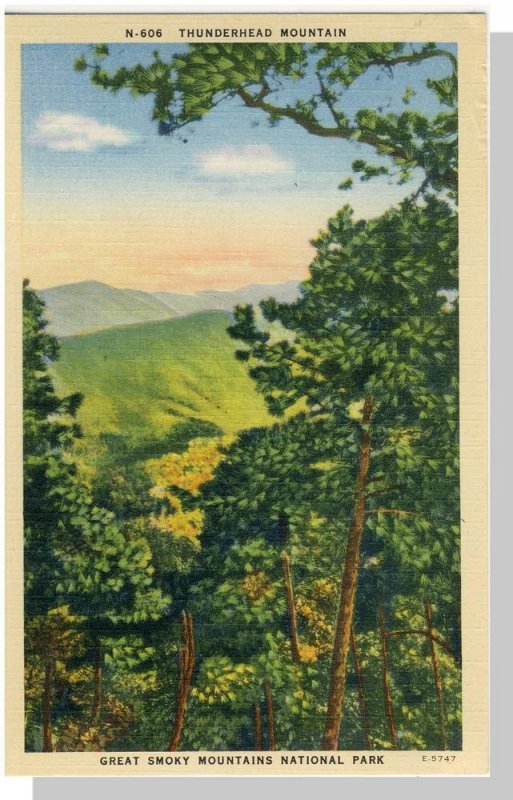 Smoky Mountains National Park, North Carolina/NC-TN Postcard, Thunderhead Mnt