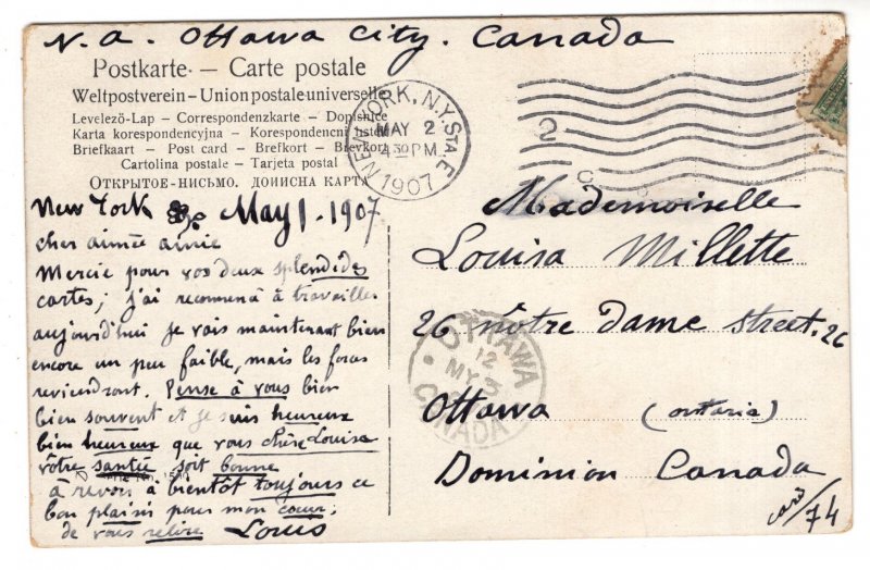 Black, Grey and White Cats  Outside, Used 1907