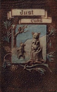 Teddy Bear Fantasy Series JUST CUBS c1910 Postcard