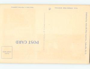 Unused Linen TWO VIEWS ON CARD Fantail Falls - Buena Vista Virginia VA ho7501