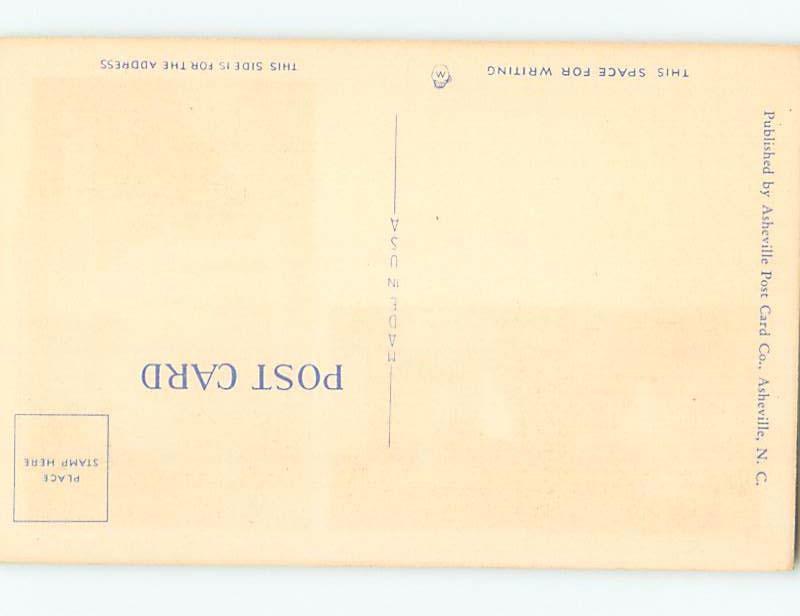 Unused Linen TWO VIEWS ON CARD Fantail Falls - Buena Vista Virginia VA ho7501