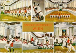 Vienna, Austria  SPANISH COURT RIDING SCHOOL White Horses~Training  4X6 Postcard