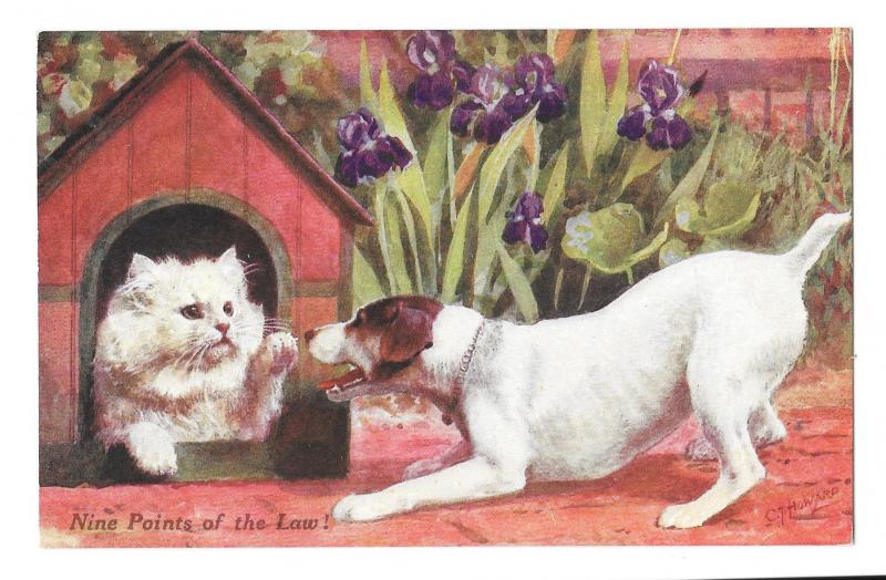 C.T. Howard Cat in Dog House Artist Signed Nine Points of Law Vintage Postcard