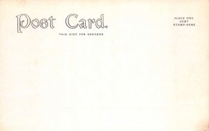 Downsville New York Shaw's Cove Scenic View Vintage Postcard AA101808