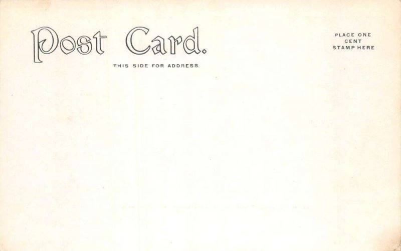 Downsville New York Shaw's Cove Scenic View Vintage Postcard AA101808