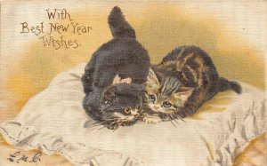 Best New Year Wishes Cat Writing on back 