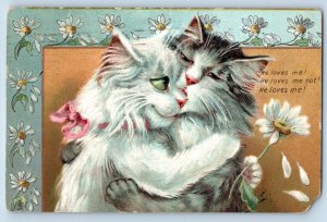 Chicago IL Postcard Boulanger Cat Kitten With Daisy Flower Tuck 1910 Antique