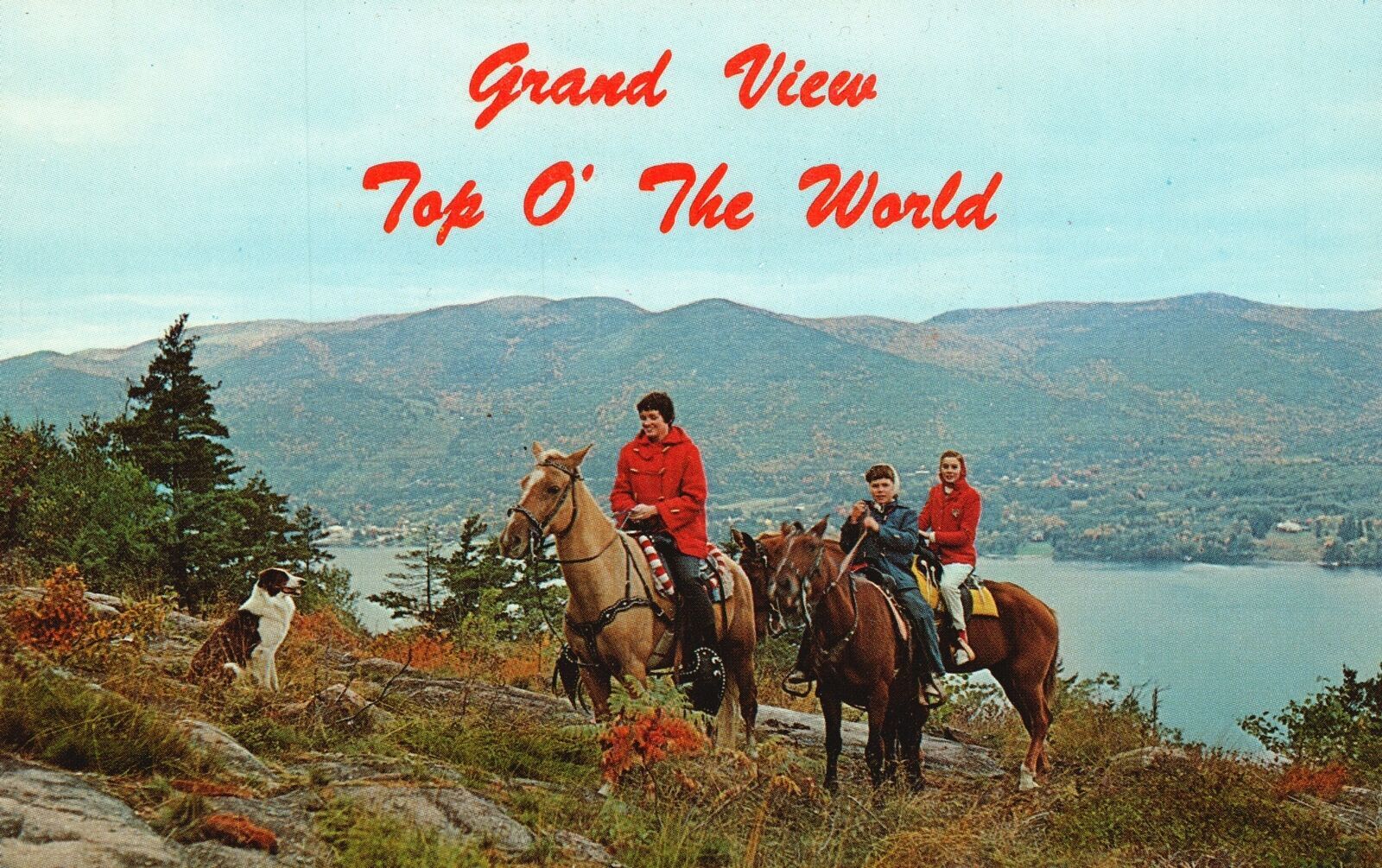 Vintage Postcard Grand View Top O The World Lake Village New