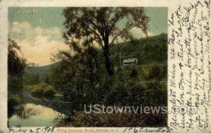 Canisteo River - Hornell, New York NY  