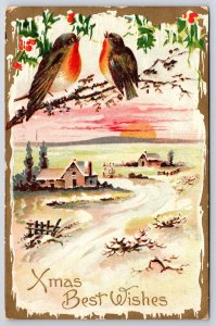 Postcard 1910 Xmas Christmas Best Wishes Greetings Two Birds on a Tree Branch
