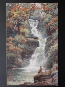 Ireland KILLARNEY O'Sullivans Cascade CHRISTMAS c1907 Postcard Raphael Tuck 7283