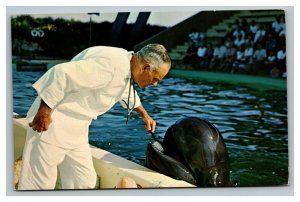 Vintage 1960's Postcard Doctor Brushes Teeth of Trained Whale Marineland Florida