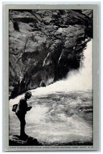 c1960s Lower Roaring River Falls Kings Canyon National Park Fresno CA Postcard