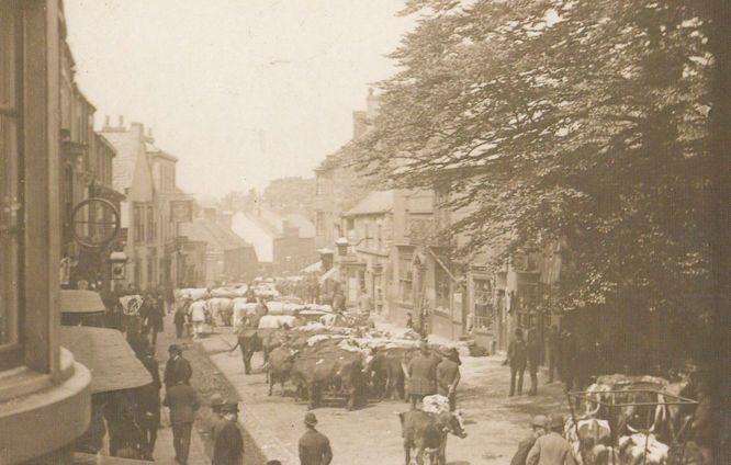 Knaresborough Yorkshire Cattle Market Farm Farmers Parading Stock Large Postcard