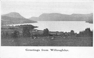 Willoughby Vermont ? Birds Eye View Greetings Vintage Postcard AA84725