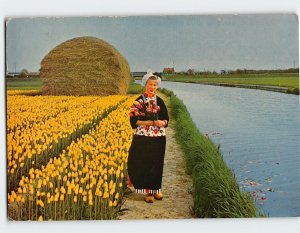 Postcard Greetings!, Netherlands