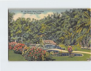 Postcard An Exotic Array of Palms and Flower in Florida