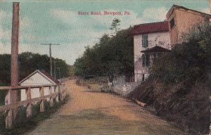 Postcard State Road Newport PA 1910