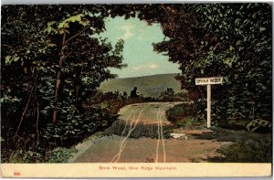 The Road to Brink Wood, Pen Mar Park MD c1910 Vintage Postcard G32