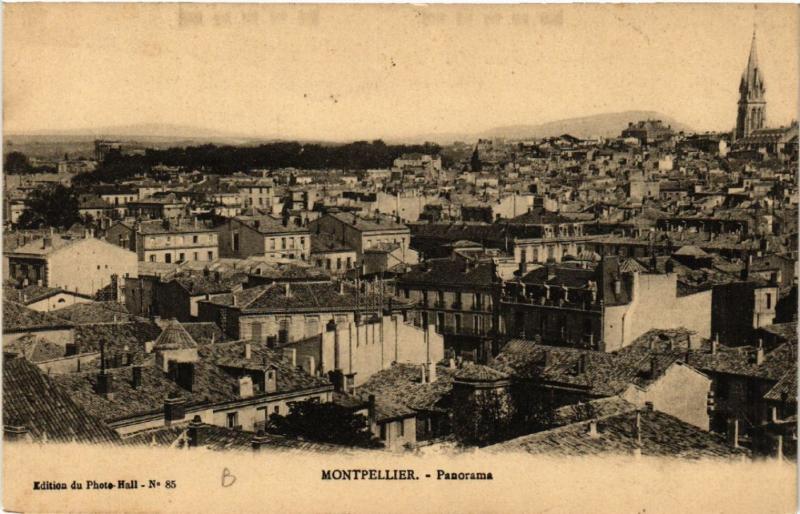 CPA  Montpellier - Panorama  (518669)