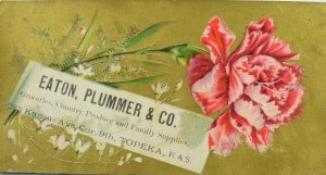 1880's Eaton Plummer & Co Groceries Country Produce Family Supplies P71