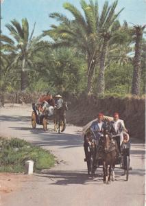 BF27101 promenade a travers l oasis gabes types   tunisia  front/back image