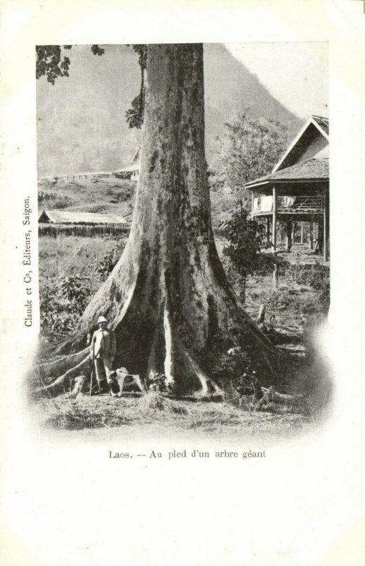 PC CPA LAOS, INDOCHINA, AU PIED D'UN ARBRE GÉANT, (b23402)