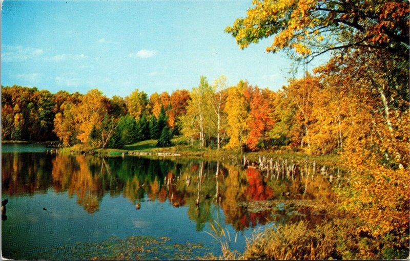 Fall Reflections Water Lake Scene Vacationland Postcard VTG UNP LL Cook Vintage  