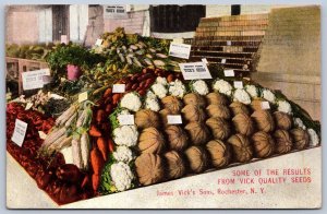 K32/ Rochester New York Postcard c1910 Advertising Vick Quality Seeds 309
