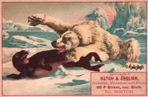 1880s-90s Polar Bear Attacking Seal Hatch & English Groceries Boston Trade Card