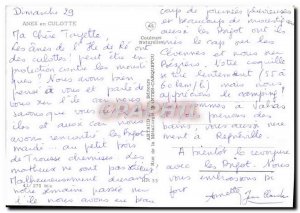 Postcard Modern Anes In Panties