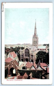 NORWICH Cathedral Norfolk England UK Postcard