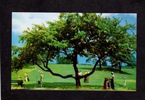 ME Number 5 Tee Hole Golfing Webhannet Golf Course Kennebunk Maine Postcard