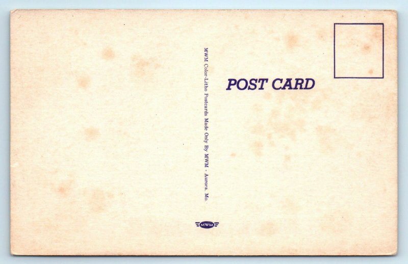 GOLF COMIC- OUTHOUSE HUMOR: Hole-in-One!  c1940s Linen Postcard