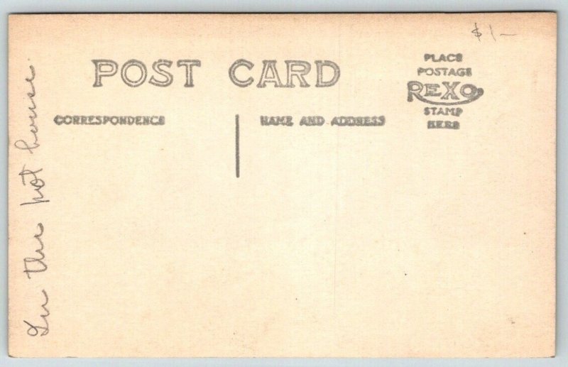 RPPC  Pretty Young Woman With Flowers  c1915   Postcard